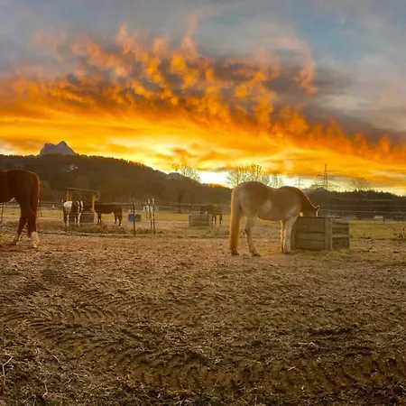 Gutshof Zum Schluxen * Pinswang