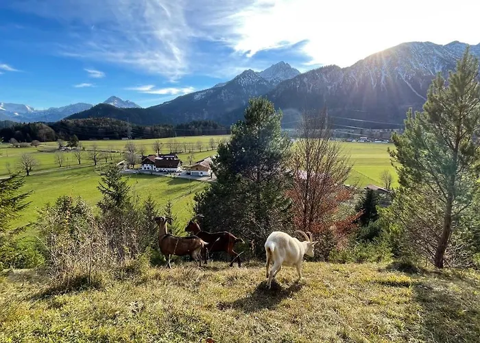 Gutshof Zum Schluxen Pinswang