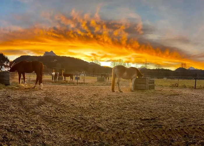 Gutshof Zum Schluxen * Pinswang