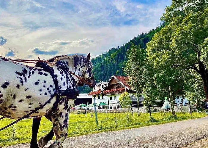 Gutshof Zum Schluxen Apartamento Pinswang