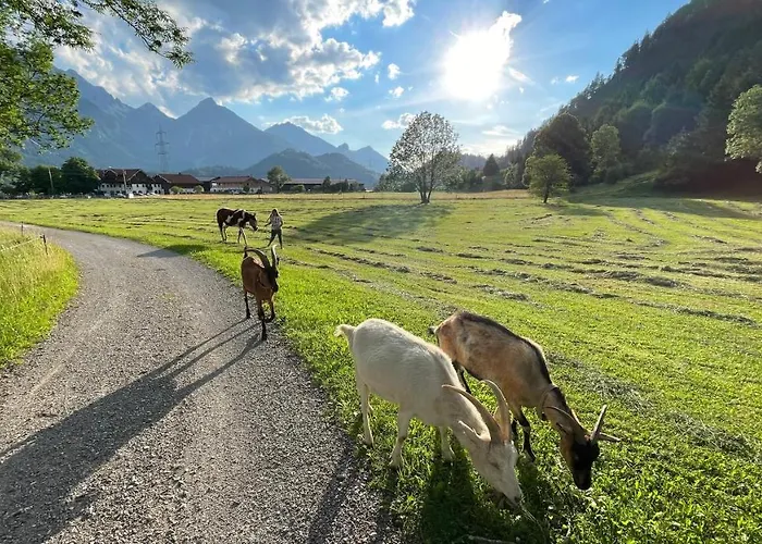 祖姆斯彻鲁恩酒店 公寓 *