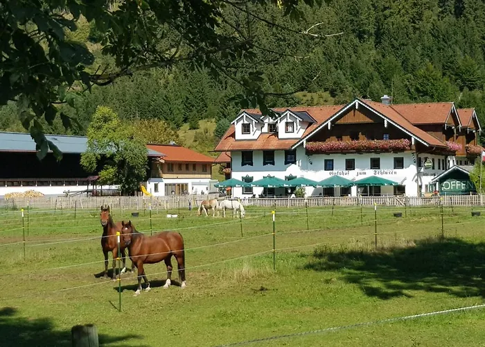 公寓 祖姆斯彻鲁恩酒店 *
