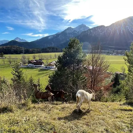 Gutshof Zum Schluxen Pinswang