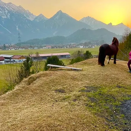 Apartment Gutshof Zum Schluxen