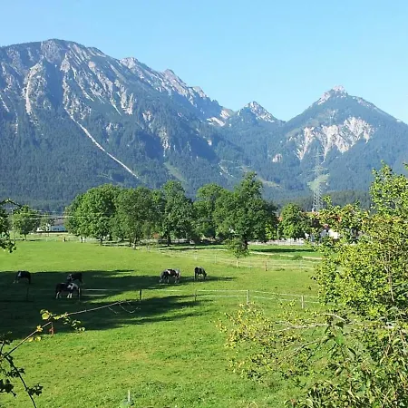 Gutshof Zum Schluxen Pinswang