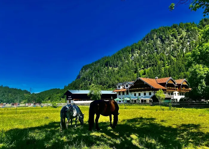 Apartment Gutshof Zum Schluxen *